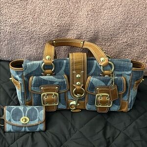 Unique Blue and Brown Coach Women's Handbag